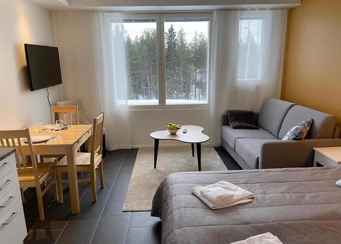 Huoneistohotelli Lost In Levi