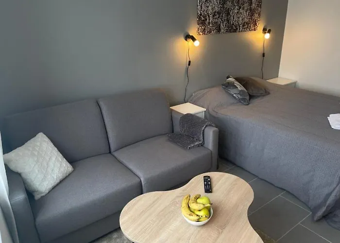 Lost In Huoneistohotelli Levi