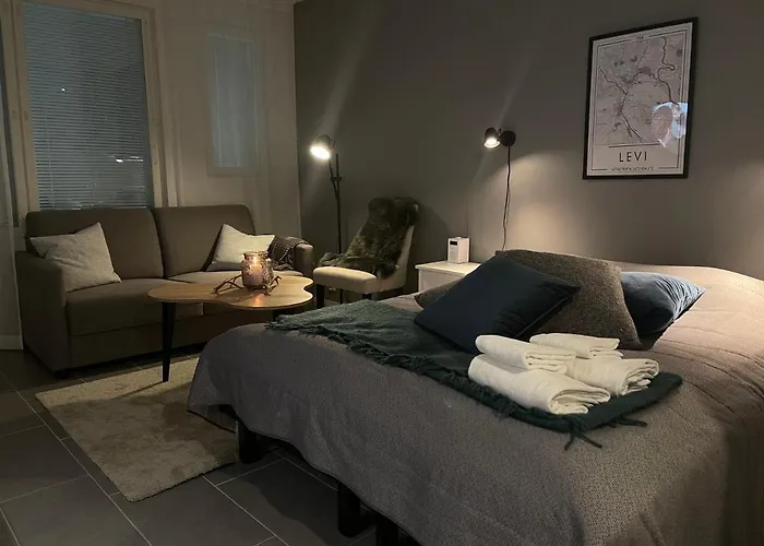 Lost In Huoneistohotelli Levi